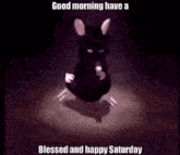 Rat Dance Have A Blessed Saturday GIF - Rat Dance Have A Blessed Saturday Rat Dance GIFs