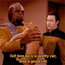 Star Trek Cat Spot GIF - Star Trek Cat Spot Dat Spot GIFs