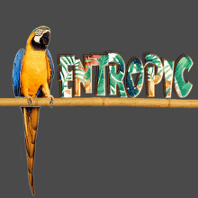 Entropic GIF - Entropic GIFs