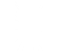 a white background with a few lines on it .