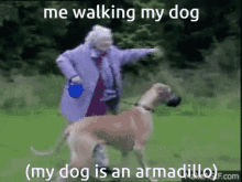Dog Armadillo GIF - Dog Armadillo Walking Dog GIFs