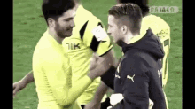 a group of soccer players are standing on a field and shaking hands .