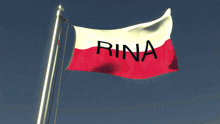 Rina From Poland Discoladybug GIF - Rina From Poland Discoladybug Fischerinstress GIFs