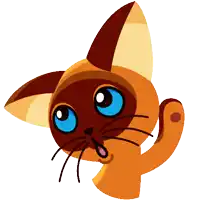 a brown and yellow cat with blue eyes and a black tail
