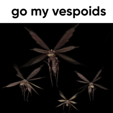 a black background with the words go my vespoids