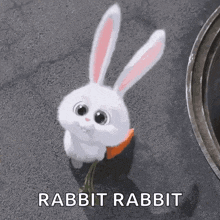 Cute Bunny Carrot Animated GIF