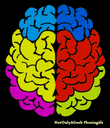 Colorful Brain GIFs | Tenor