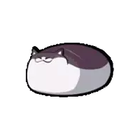 a purple and white cat is curled up on a white background .
