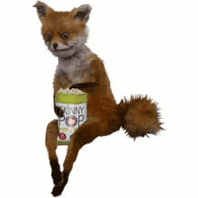 a stuffed fox holding a can of skinny pop