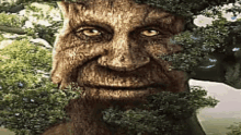 Tree Wise Mythical Tree GIF