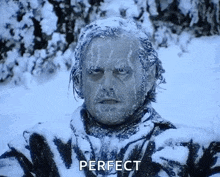 a man with ice on his face is standing in the snow and the word perfect is above him .