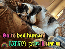 a calico cat sleeping on a couch with the words go to bed human