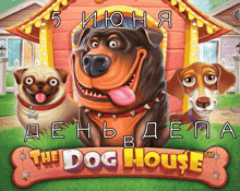 a poster for the dog house shows cartoon dogs in front of a doghouse
