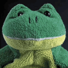 Jim O Rourke Frog Plush GIF - Jim O Rourke Frog Plush GIFs