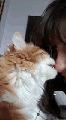 Titus Cat GIF - Titus Cat Kiss GIFs