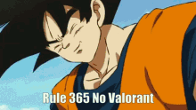 Rule365 No Valorant GIF - Rule365 No Valorant GIFs