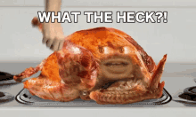 Turkey What The Heck GIF - Turkey What The Heck Surprised GIFs