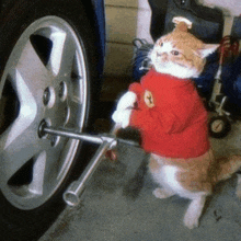 a cat wearing a red sweater is working on a car wheel with a wrench
