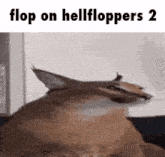 Floppa Helldivers GIF