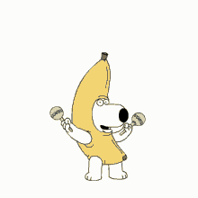 Maracas Banana GIF - Maracas Banana Dog GIFs