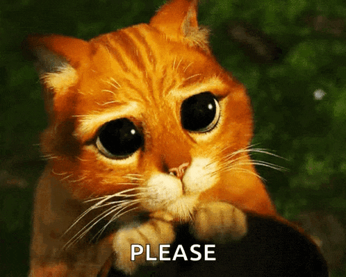 a cat with a sad look on its face is asking for please