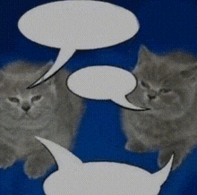 Tomas And William Excellent GIF - Tomas And William Excellent But We Are Cats GIFs