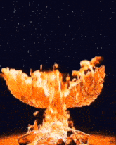 a large fire is burning in the night sky