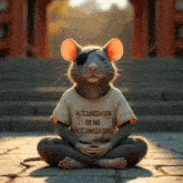 a mouse wearing a shirt that says altcoinseason