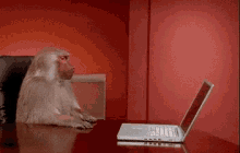Monkeying Around Thrown GIF - Monkeying Around Thrown Laptop GIFs