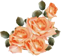 a bunch of orange roses with green leaves are on a white background
