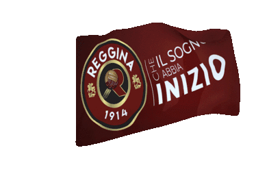 Reggina Reggina1914 Sticker - Reggina Reggina1914 1914 Stickers