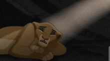 Kiara Lion King 2 GIF - Kiara Lion King 2 GIFs