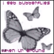 I Get Butterflies GIF - I Get Butterflies GIFs
