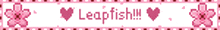 a pink banner with the words leapfish written on it
