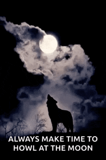 full moon good night always make time to howl at the moon
