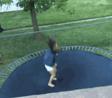 trampoline fail funny idiot woman