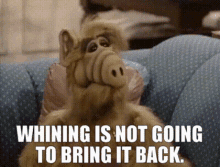 Alf Whining Is Not Going To Bring It Back GIF - Alf Whining Is Not Going To Bring It Back Whine GIFs