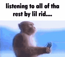 Listening Monkey Listening GIF