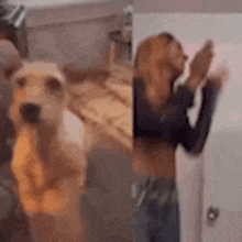 a dog and a woman are standing next to each other .