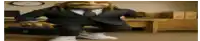 a cartoon character wearing a suit and tie is squatting down in an office .
