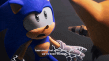a screenshot of sonic the hedgehog with the caption i assumed that after everything we 've been through