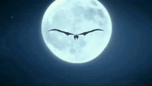 a dragon is flying in front of a full moon .