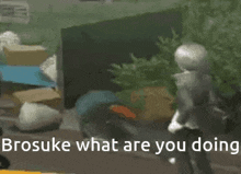 brosuke what are you doing is written on the bottom of a picture