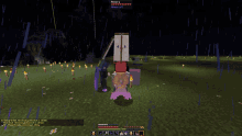 a screenshot of a minecraft game shows a character named prikor