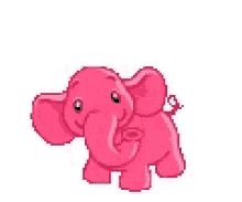 Pink Elephant GIF