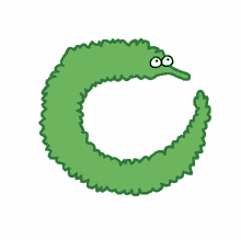 circle worm