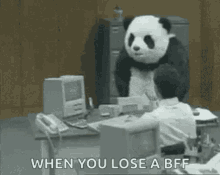 Angry Panda Rage GIF