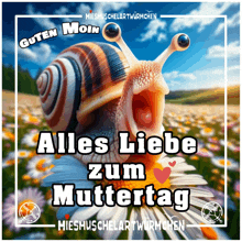 a picture of a snail with the words alles liebe zum muttertag
