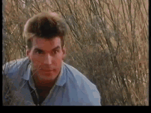 a man in a blue shirt is standing in a field of tall grass looking at the camera .