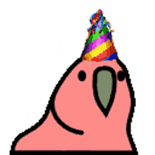 birthday parrot